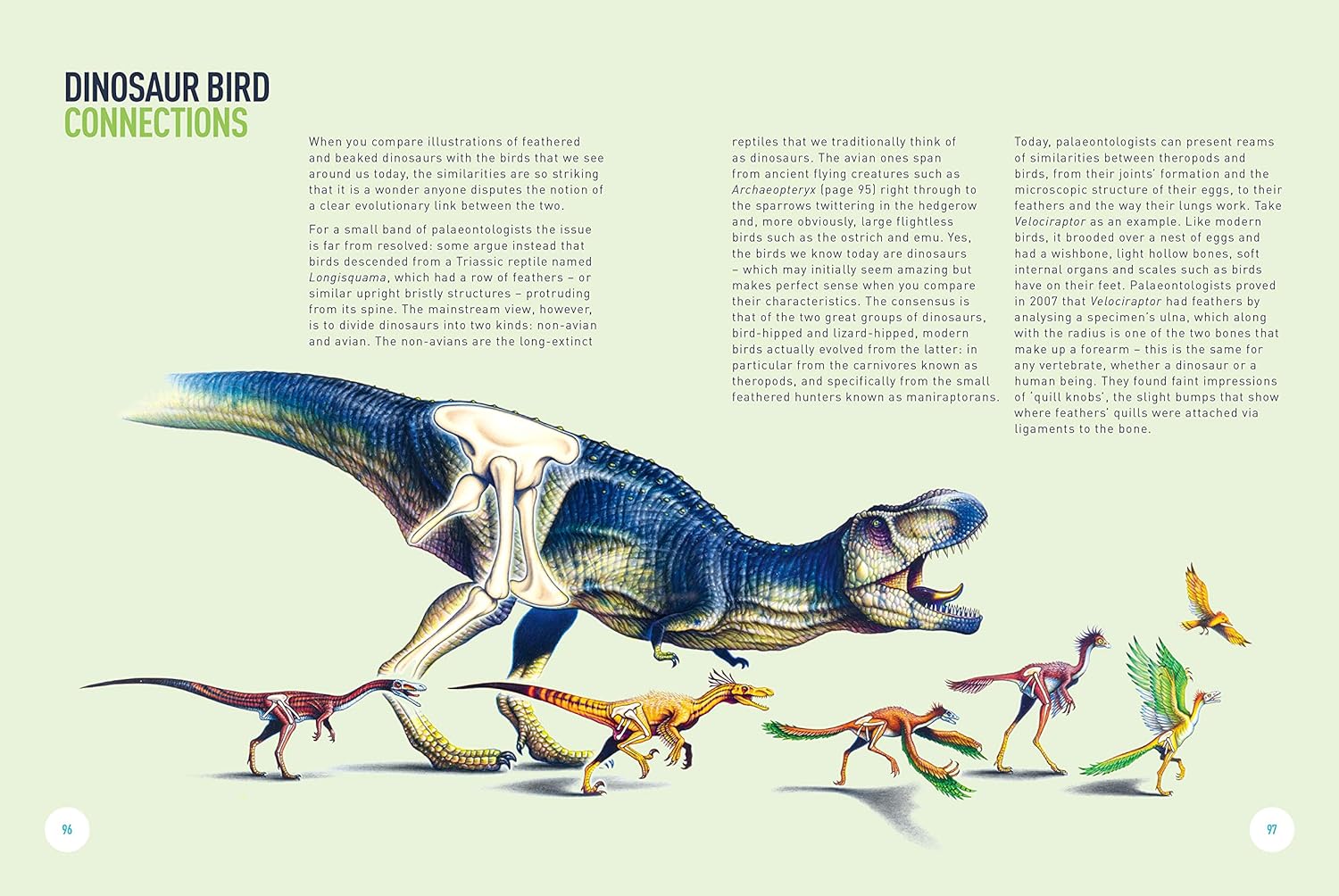 Dinosaurs―The Grand Tour, Second Edition: Everything Worth Knowing About Dinosau... 5 Dinosaurs―The Grand Tour, Second Edition: Everything Worth Knowing About Dinosau... - Image 5