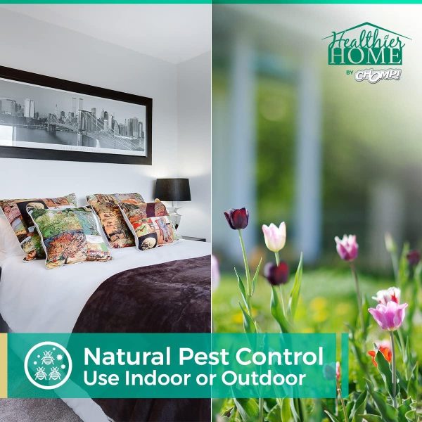 CHOMP! Travel Size Bed Bug & Insect Repellent, Natural, TSA Approved Indoor Pest... - Image 4