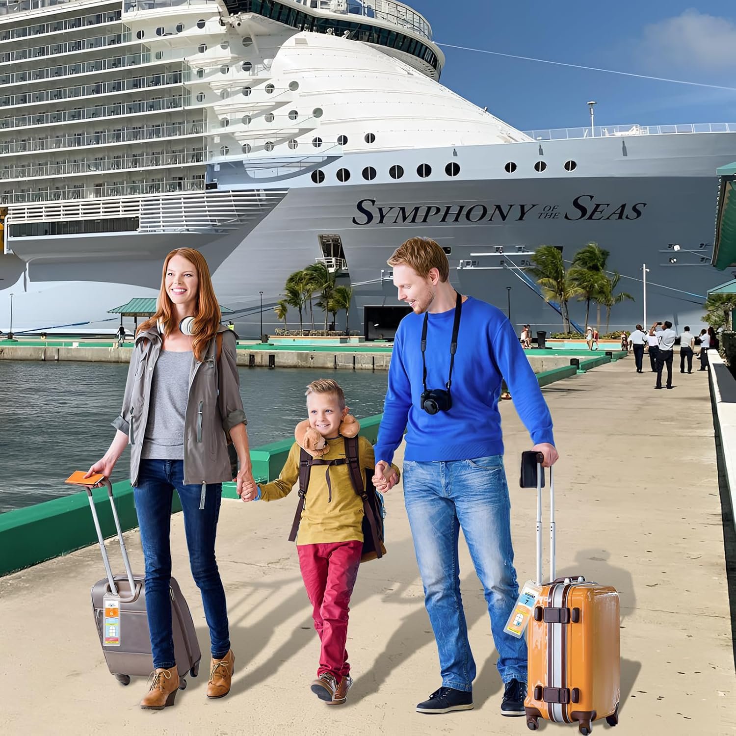 HABGP 6 Pack Cruise Luggage Tags, Clear Luggage Tags Holder for Royal Caribbean ... - Image 9