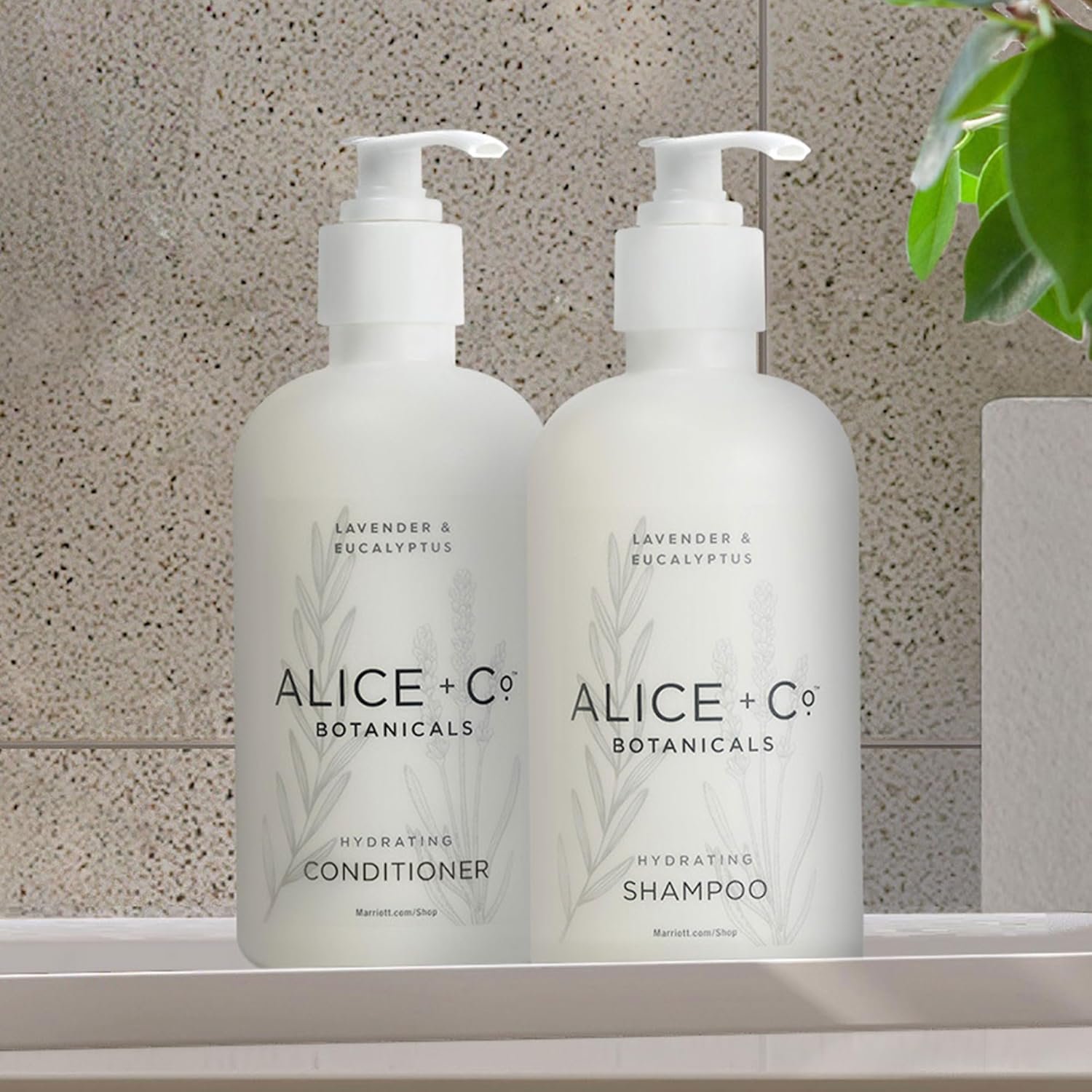 Alice + Co. Shampoo & Conditioner | Lavender & Eucalyptus | Fairfield by Marriot... 3 Alice + Co. Shampoo & Conditioner | Lavender & Eucalyptus | Fairfield by Marriot... - Image 3