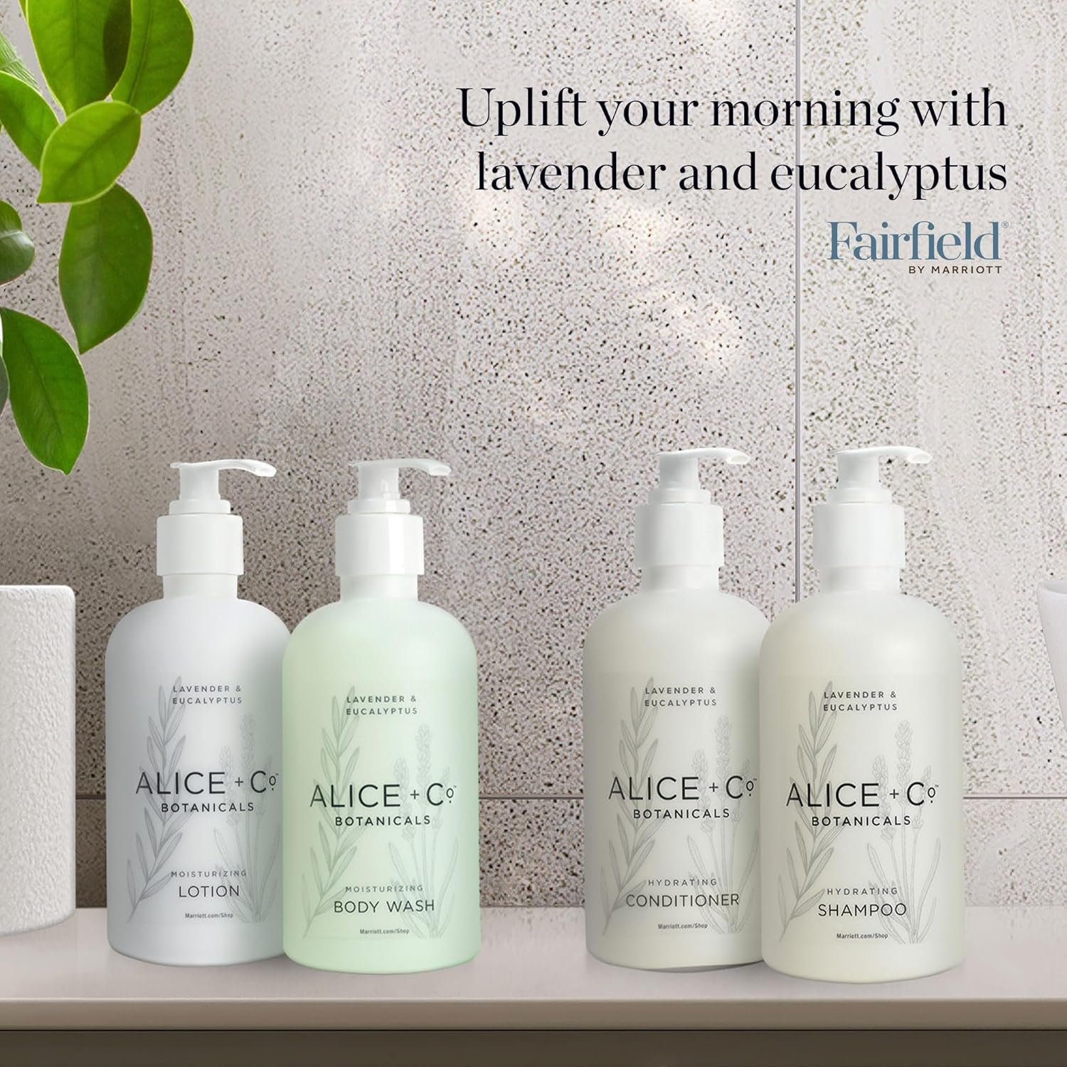 Alice + Co. Shampoo & Conditioner | Lavender & Eucalyptus | Fairfield by Marriot... 8 Alice + Co. Shampoo & Conditioner | Lavender & Eucalyptus | Fairfield by Marriot... - Image 8