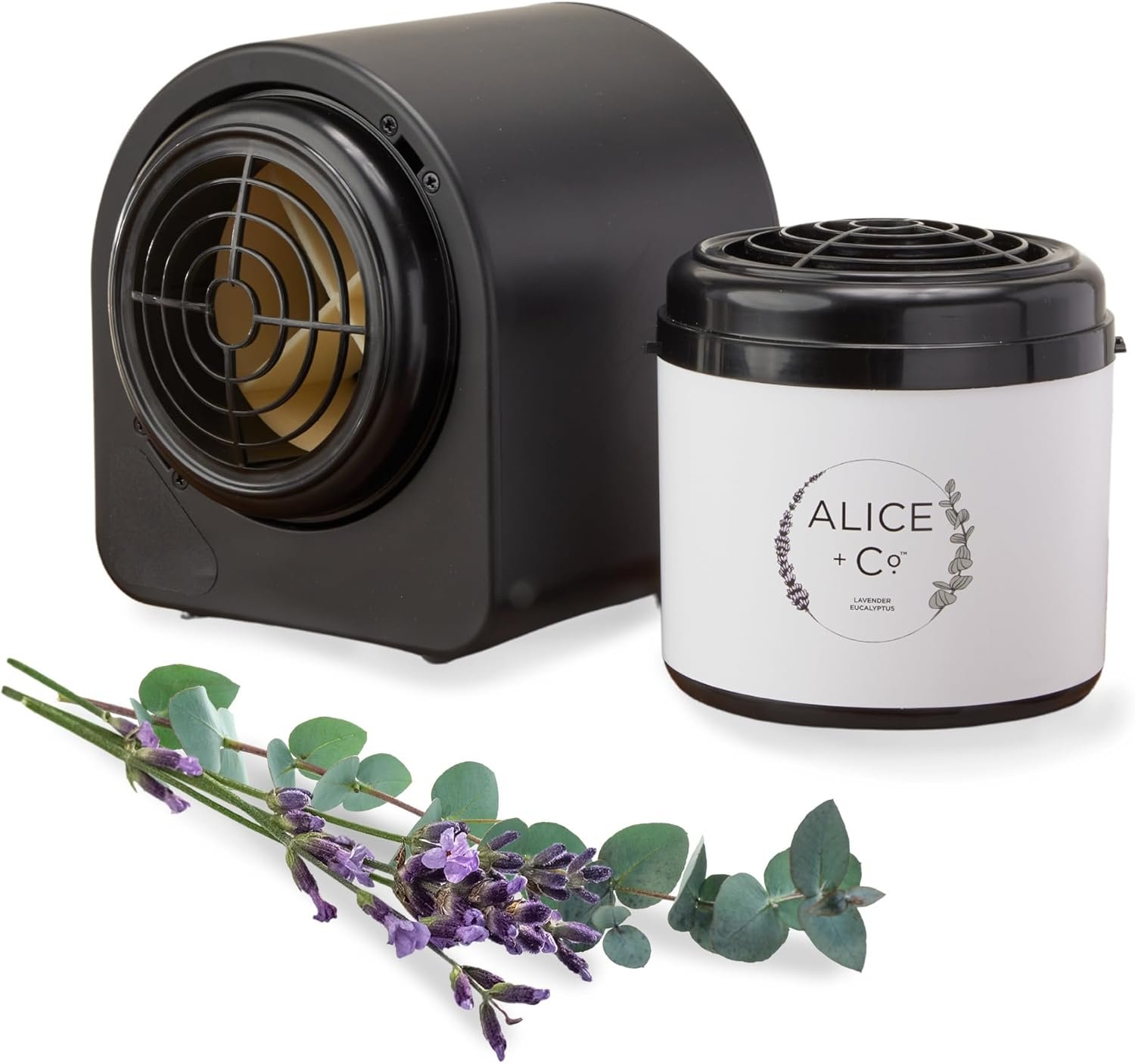Alice + Co. Home Diffuser Set | Lavender & Eucalyptus Scent | Fairfield by Marri... 2 Alice + Co. Home Diffuser Set | Lavender & Eucalyptus Scent | Fairfield by Marri... - Image 2