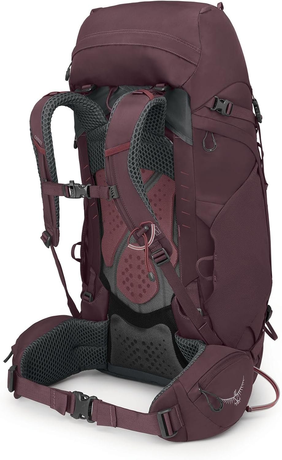 Osprey Kyte 48L Women's Backpacking Backpack with Hipbelt, Purple WXS-S 4 Osprey Kyte 48L Women's Backpacking Backpack with Hipbelt, Purple WXS-S - Image 4