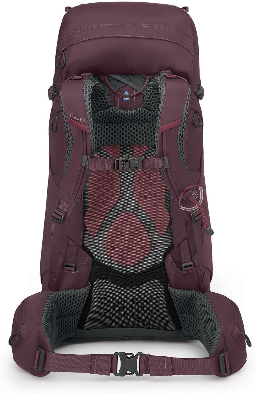 Osprey Kyte 48L Women's Backpacking Backpack with Hipbelt, Purple WXS-S 5 Osprey Kyte 48L Women's Backpacking Backpack with Hipbelt, Purple WXS-S - Image 5