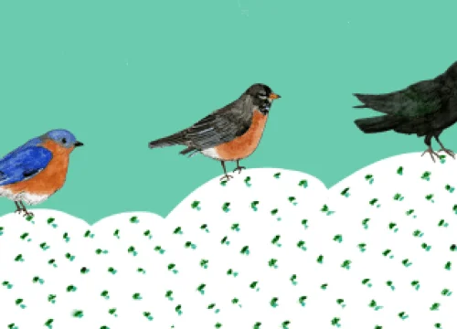A Patreon, a New Newsletter, and a Site Redesign A Patreon, a New Newsletter, and a Site Redesign
